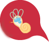 tiền đình