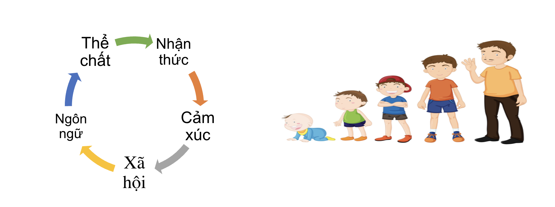 Phát triển là gì