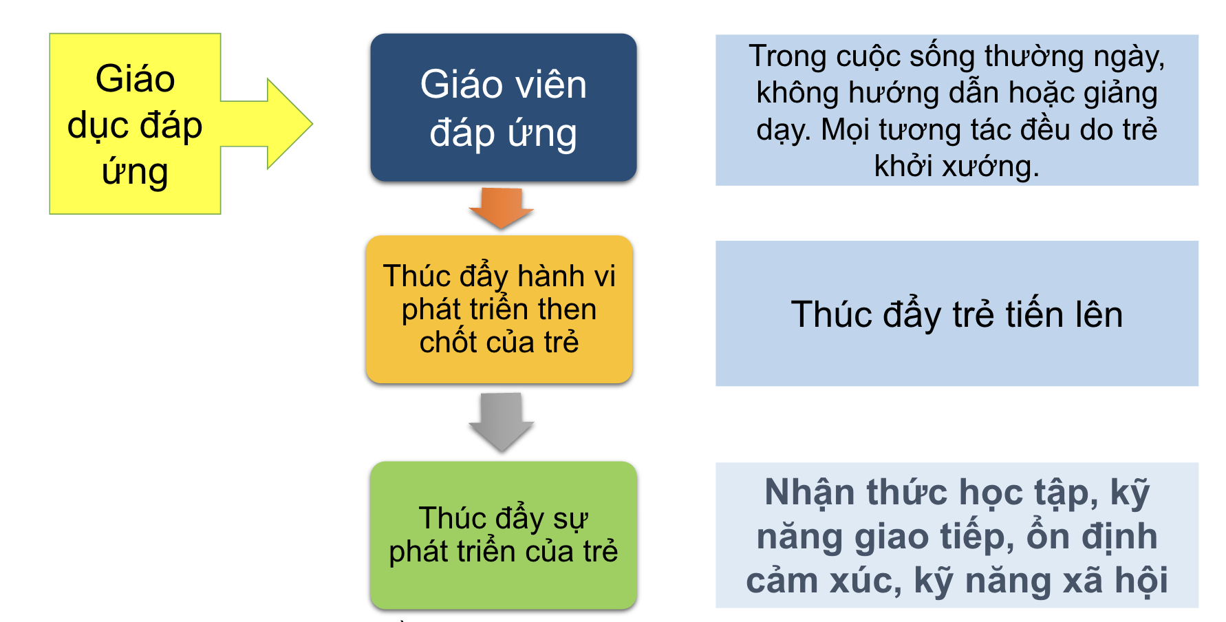 Tác động của các tương tác phản ứng (3)